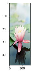 lotus_09